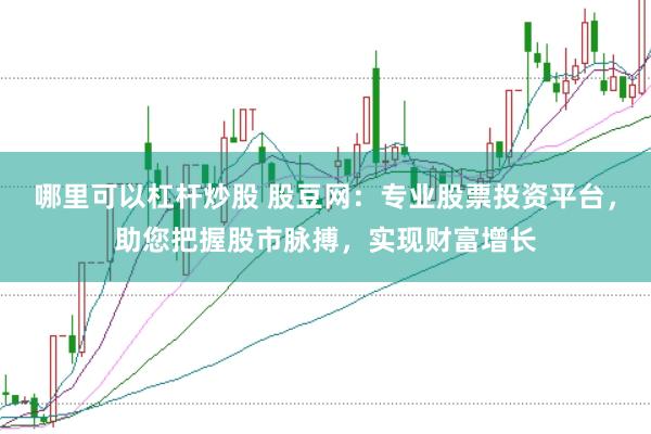 哪里可以杠杆炒股 股豆网：专业股票投资平台，助您把握股市脉搏，实现财富增长
