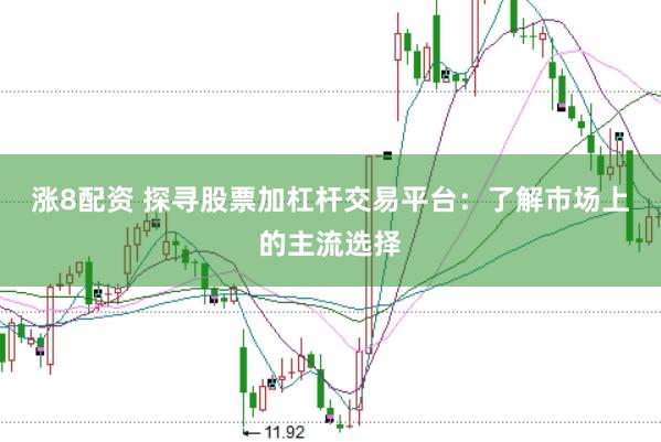 涨8配资 探寻股票加杠杆交易平台：了解市场上的主流选择