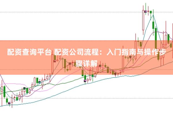 配资查询平台 配资公司流程：入门指南与操作步骤详解