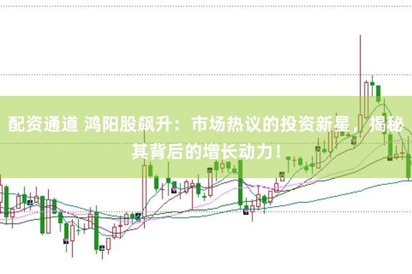 配资通道 鸿阳股飙升：市场热议的投资新星，揭秘其背后的增长动力！