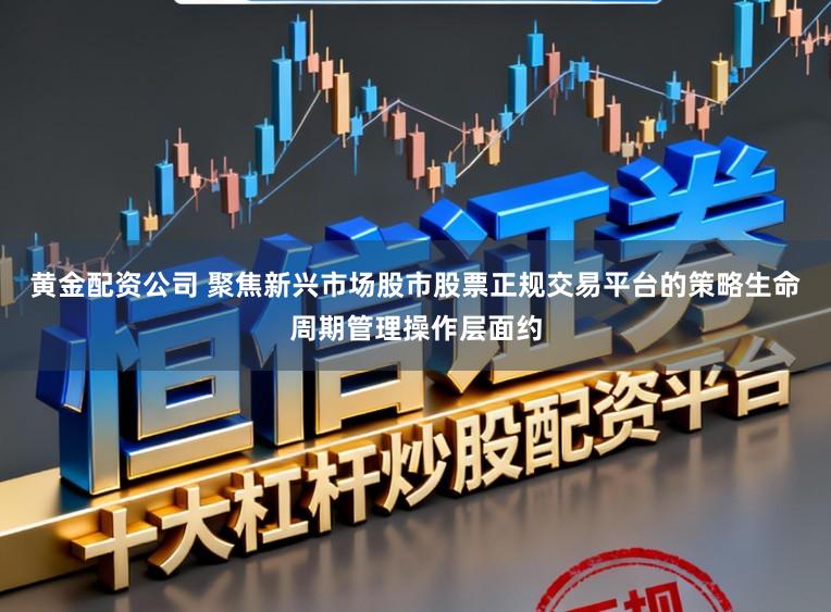 黄金配资公司 聚焦新兴市场股市股票正规交易平台的策略生命周期管理操作层面约
