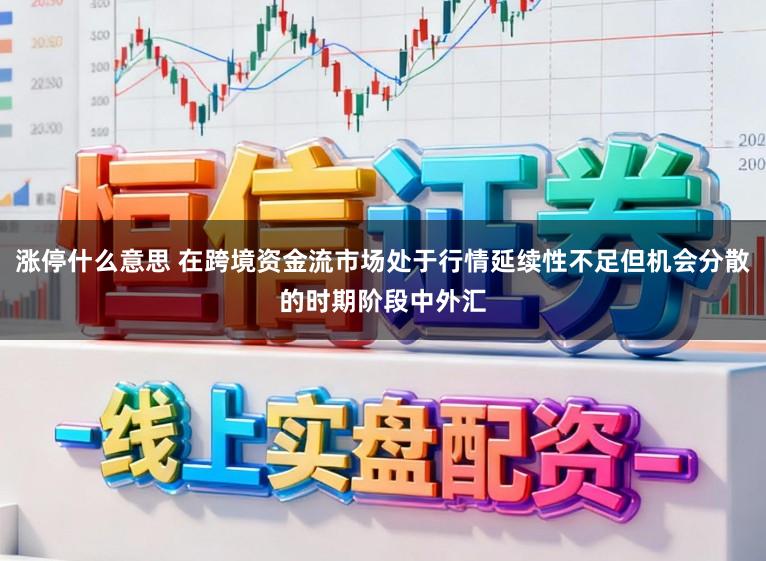 涨停什么意思 在跨境资金流市场处于行情延续性不足但机会分散的时期阶段中外汇