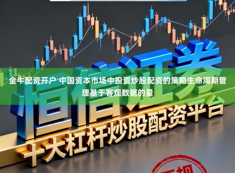 金牛配资开户 中国资本市场中投资炒股配资的策略生命周期管理基于客观数据的量