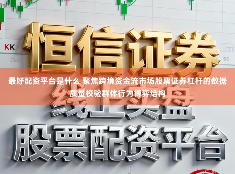 最好配资平台是什么 聚焦跨境资金流市场股票证券杠杆的数据质量校验群体行为博弈结构